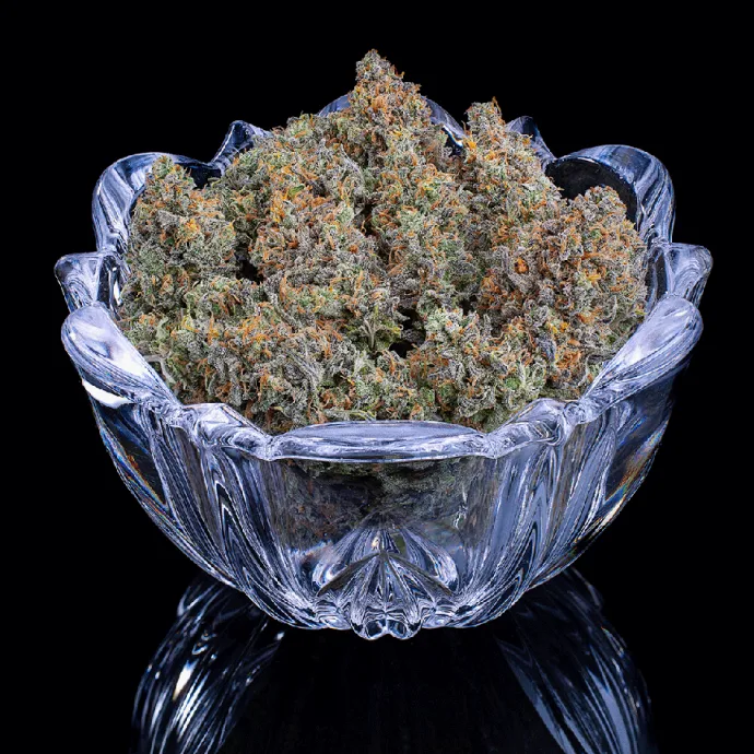 Botanical photograph: MrSoul and Brothers Grimm Seeds