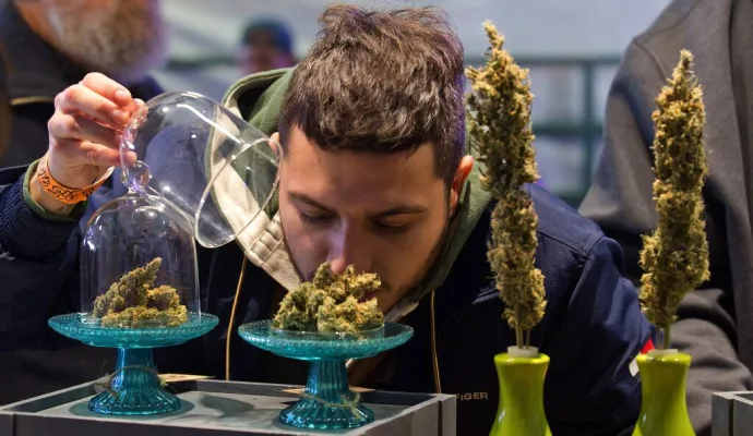 Portrait or archival photograph of people: The history of Cannabis Cup