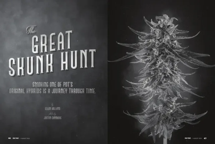 Illustration: Colin Gordon and Ethos Genetics