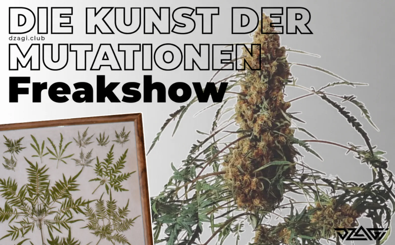 Mutationen meistern: die Geschichte von Freakshow