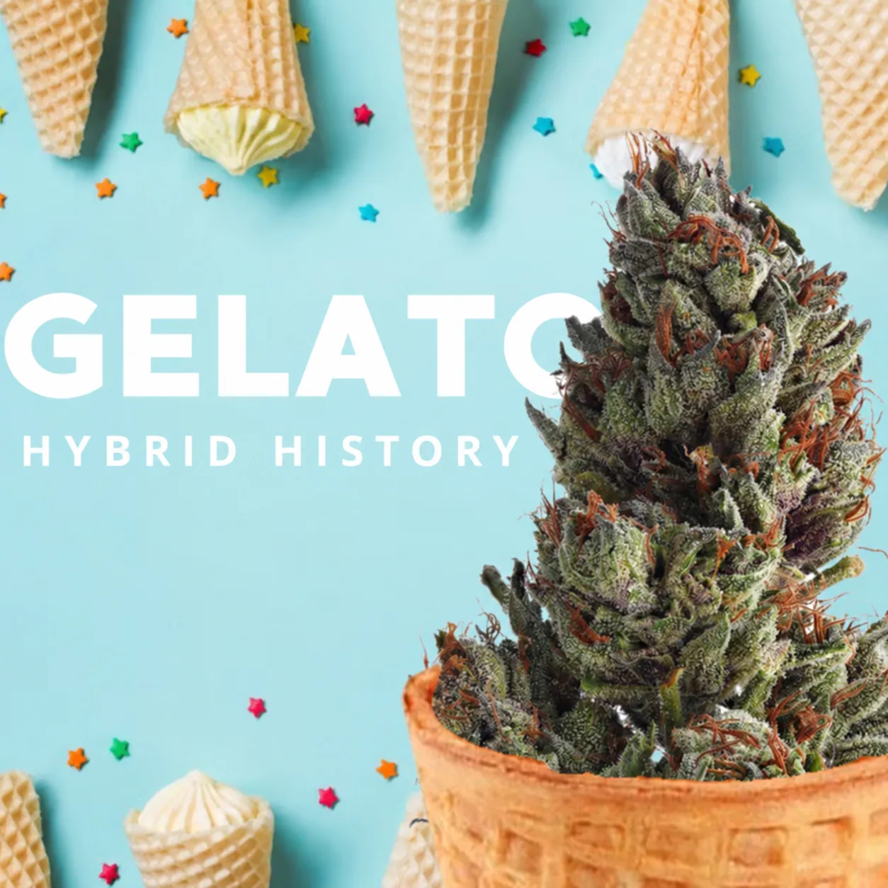The history of Gelato