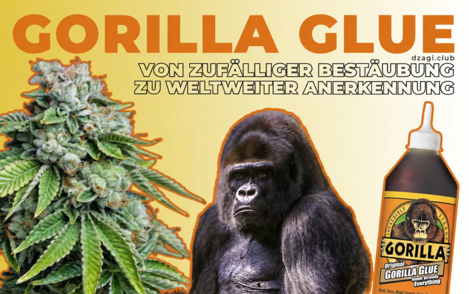 Die Geschichte von Gorilla Glue