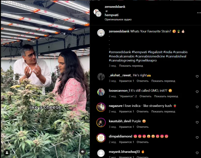 Screenshot from the original article: India trip: exploring the country’s cannabis culture