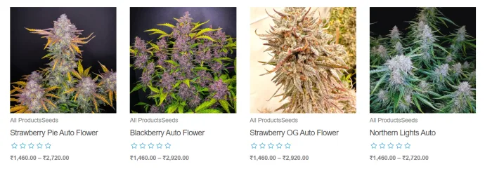 Screenshot from the original article: India trip: exploring the country’s cannabis culture