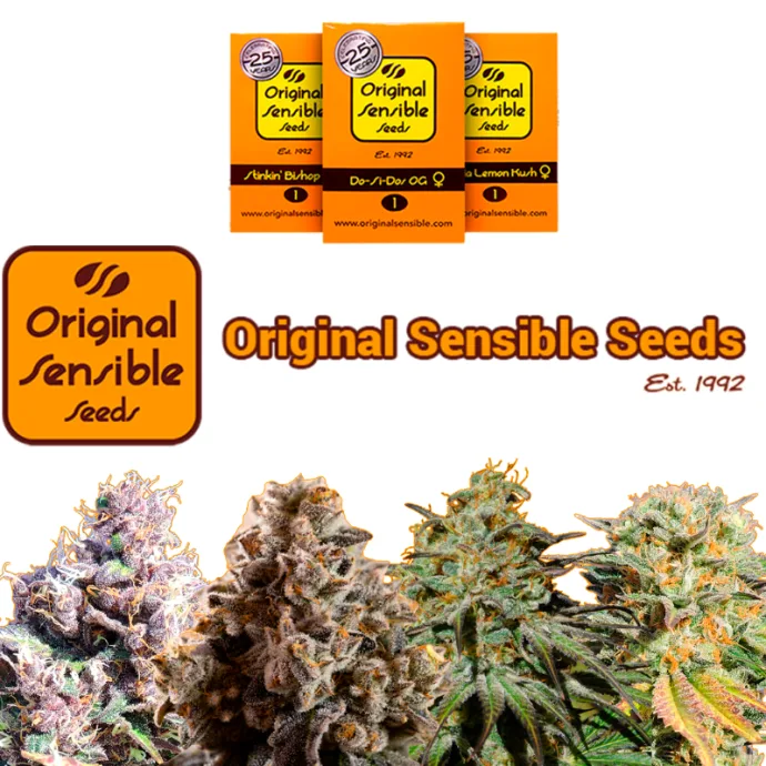 Catalogue illustration: The history of Original Sensible Seeds