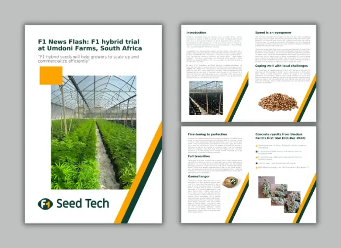 Historical document or publication: Royal Queen Seeds: the company’s history