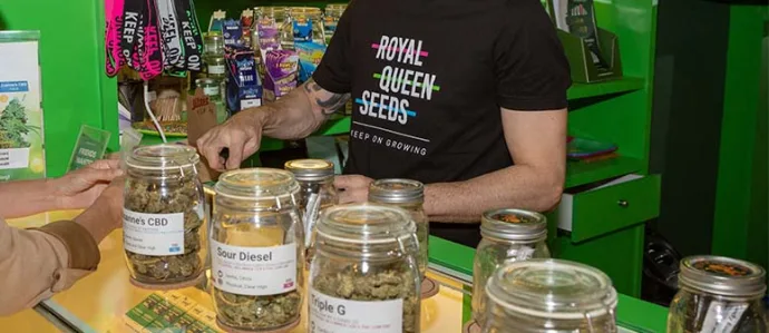Portrait or archival photograph of people: Royal Queen Seeds: the company’s history