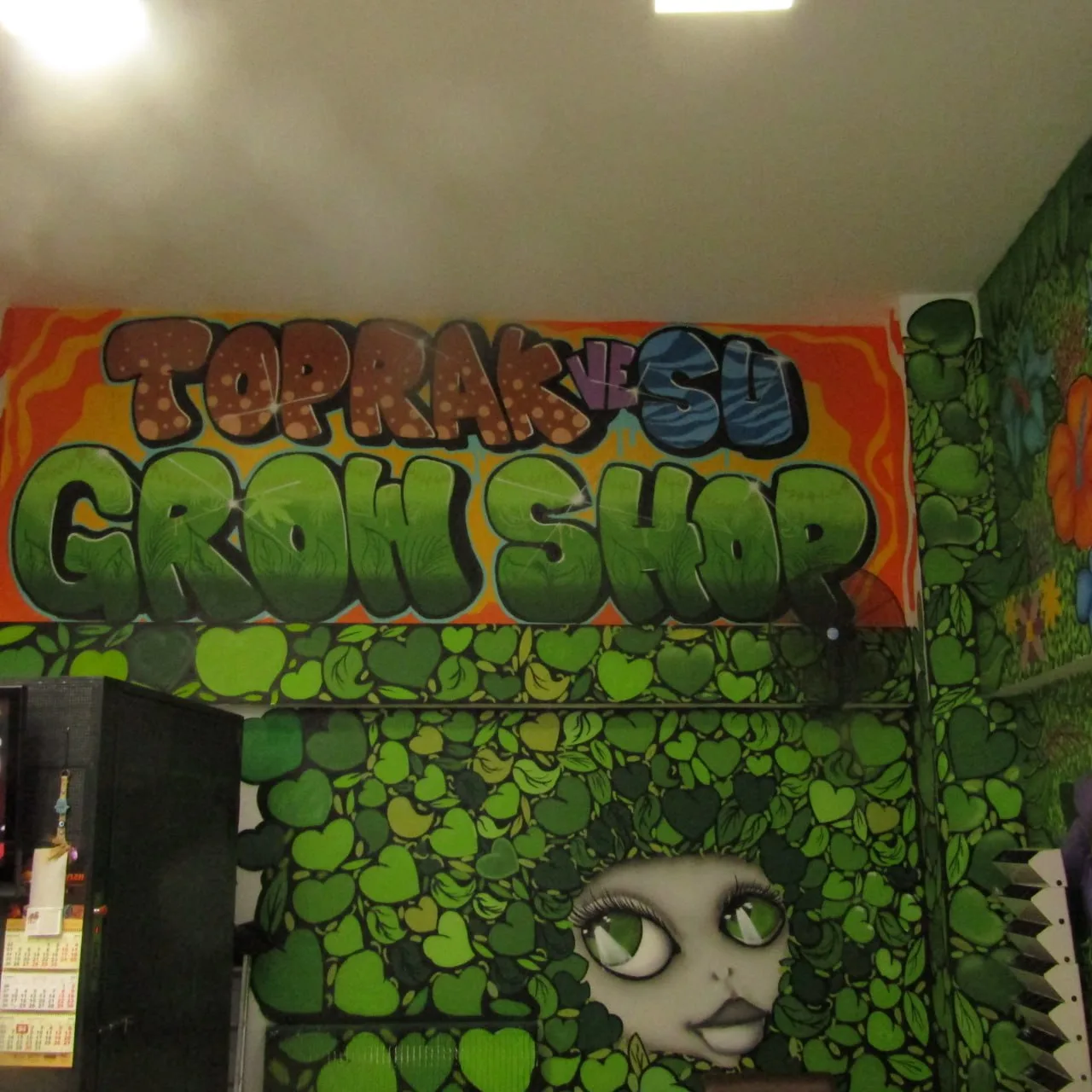 Toprakvesu graffiti.