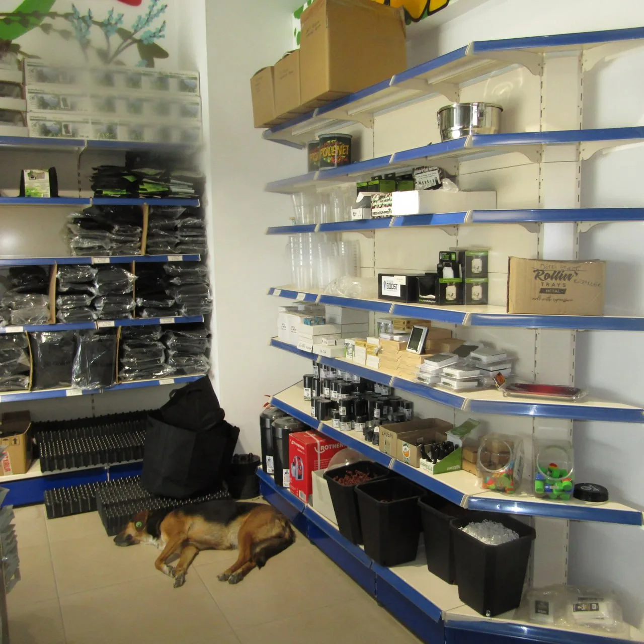 Shop displays and aisle.