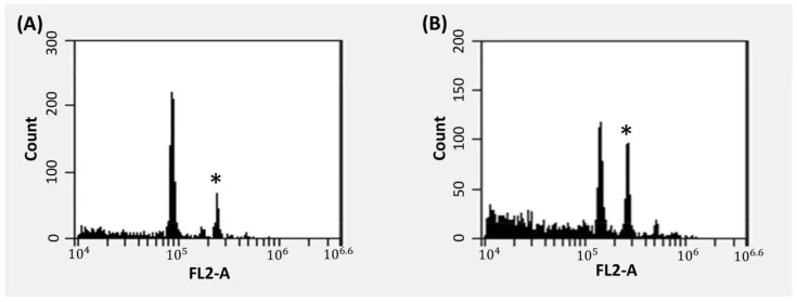 Histogramme der Durchflusszytometrie: diploides Cannabisprofil links (A), triploides rechts (B); Sternchen markieren den internen Standard.